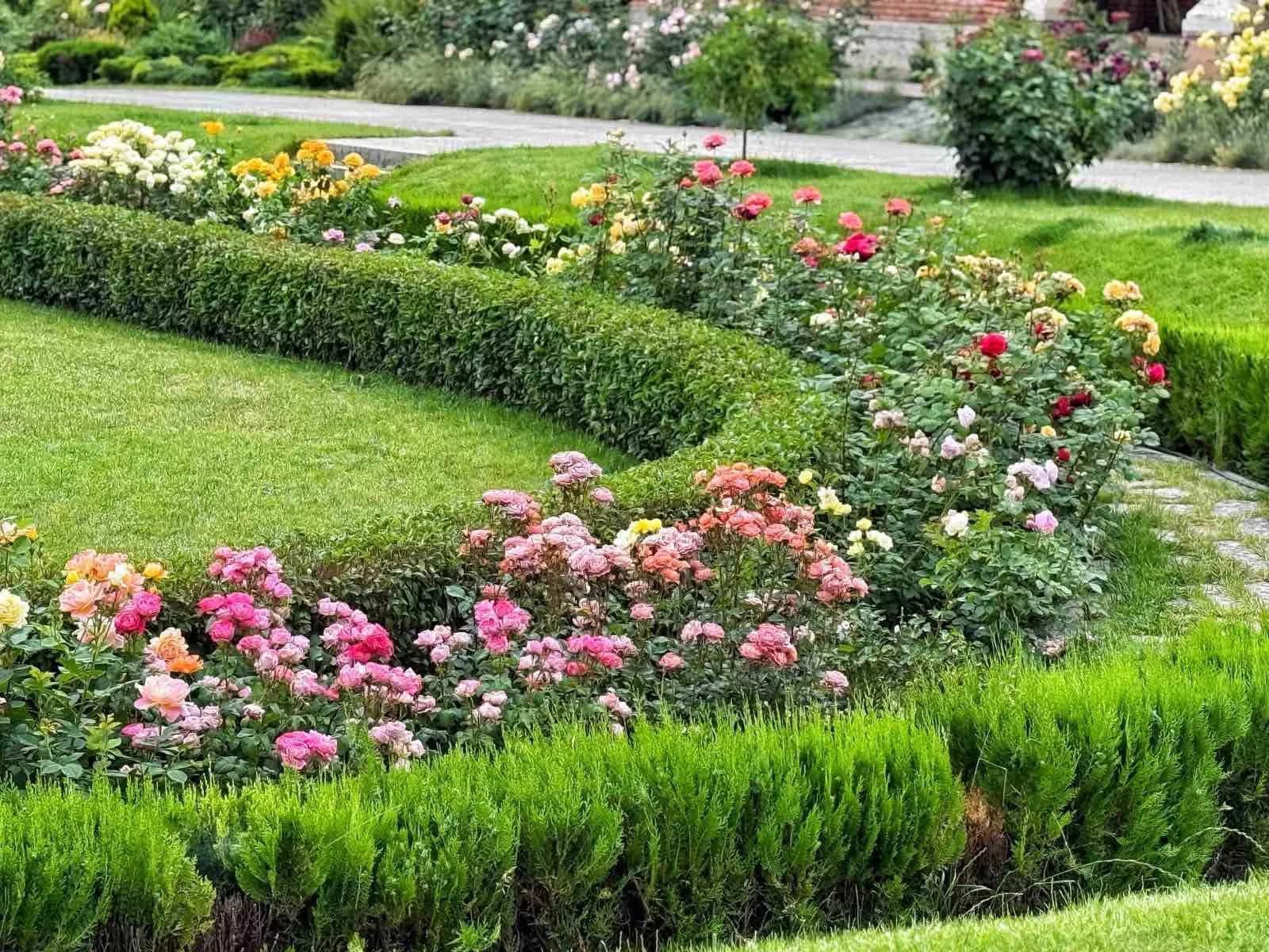 The Rose Garden